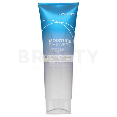 Joico Moisture Recovery Conditioner for Dry Hair 250 ml