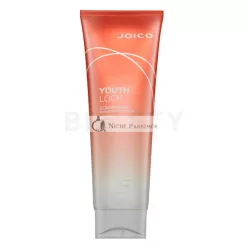   Joico Youth Lock Conditioner - Conditioner for Protection and Shine 250 ml