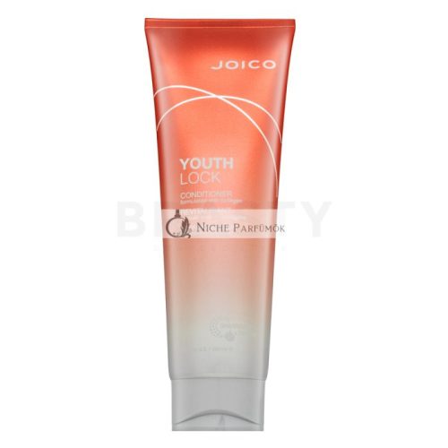 Joico Youth Lock Conditioner - Conditioner for Protection and Shine 250 ml