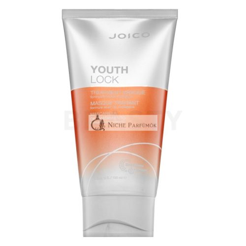 Joico Youth Lock Treatment Mask for Hair Protection and Shine 150 ml
