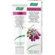 A.Vogel Comfrey Symphytum Cream Day Night Cream for Women Men 35g