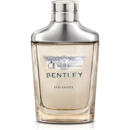 Bentley Infinite Eau de Toilette for Men 100 ml