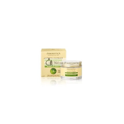 Athena Erboristo Night Care 50ml for Face and Decollete