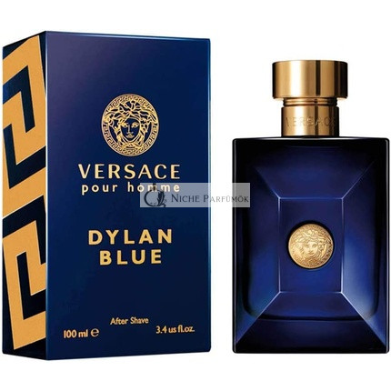 Versace Pour Homme Dylan Blue After Shave Lotion for Men 100ml