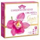 GIARDINO DEI SENSI ORCHIDEA body perfume and lotion set