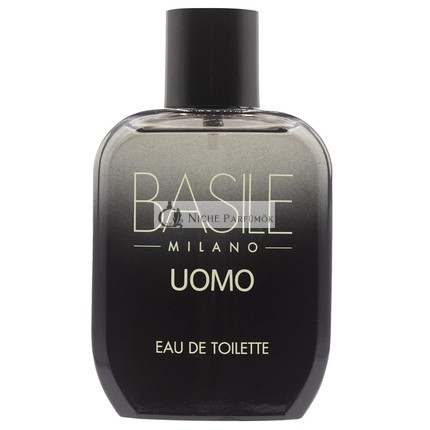 BASILE Men's EDT 100ml Eau de Toilette with Refined and Elegant Notes Spray 100ml Vintage Luxury