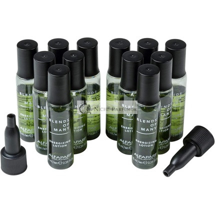 Alfaparf Milano Blends of Many Energizing Lotion 120ml