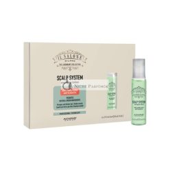  Alfaparf Group Il Salone Milano Scalp System Energize Hair Loss Lotion 6x13ml