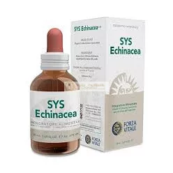 Forza Vita Sys.Echinacea 50ml