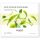 KIKO Milano Antifatigue Face Mask Moisturising Hydrogel Face Mask With Green Tea Extract