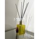 ETRO Etro Dafne Perfume Diffuser 500ml