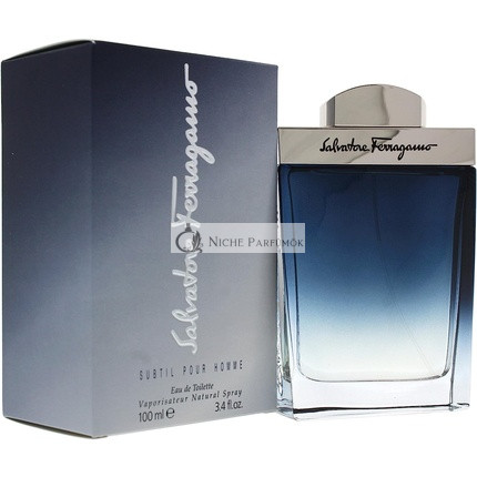 Ferragamo Subtil Pour Homme Eau De Toilette 100ml