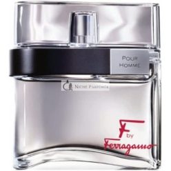   Salvatore Ferragamo F by Ferragamo Pour Homme Eau de Toilette for Men 100 ml