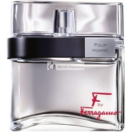 Salvatore Ferragamo F by Ferragamo Pour Homme Eau de Toilette for Men 100 ml
