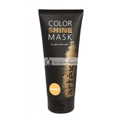 Artego Color Shine Mask Honey by Artego