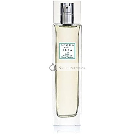Acqua Dell'Elba Monte Di Capanne Ambiente Deodorant 100ml