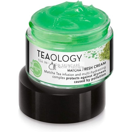 Teaology Matcha Fresh Cream 50ml Moisturizing Care Day Cream and Night Cream Natural Cosmetics Vegan