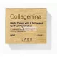 Collagenina Face Night Cream Grade 1 with 6 Collagens for Fast Absorption 50ml