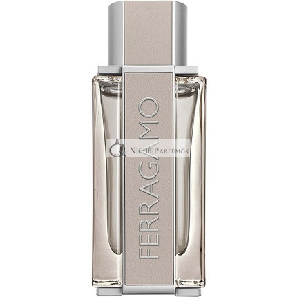 Salvatore Ferragamo Bright Leather Men Eau De Toilette 100ml
