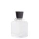 ROBERTO CAPUCCI Eau de Toilette for Men 100ml Spray Fl.Oz 3.4