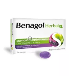 Kräuterbeeren Benagol 24 Tablets