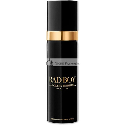 Carolina Herrera Bad Boy Dsp 100ml