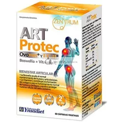 Ynsadiet Art Protec 60cap Zentrum, 70 G