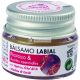 Aprolis Aprolis Balm Propole 5 Gr