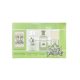 1916 Lemon and Tonka Perfume 100ml + Perfume 30ml + Shower Gel 100ml Unisex Gift Set for Men and Women Fresh Citrus Scent Long Lasting 230ml