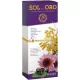 Sol De Oro Plus Syrup 250 Ml Ml300