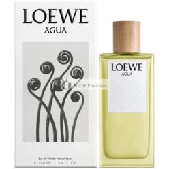 Agua De Loewe Eau De Toilette 100ml