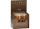 RV Placenta Ampoules 10ml - Pack of 24