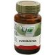 Fungibacter 60 Capsules Of Cfn