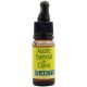 Essence Nail 10 Ml