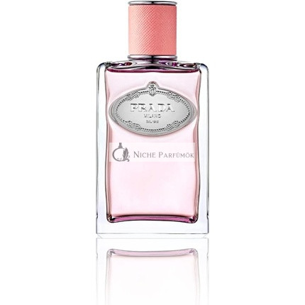 Prada Infusion De Rose for Ladies by Eau De Parfum Spray 100ml