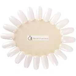 BIFULL Nail Display Box 3 Pieces