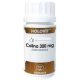 Equisalud Holovit Colina 300 Mg Colina L-Bitartrato 50 Cáp