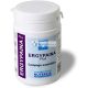 Nutergia Ergypaina Plus 60 Capsules