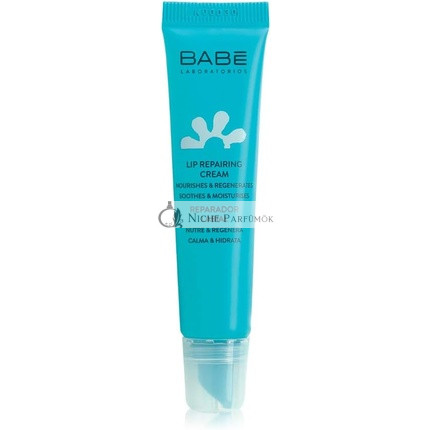 Laboratories Babé Lip Protector Regenerator 15ml