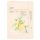 Ondo Charcoal & Yuja Bubble Mask 25g