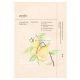 Ondo Charcoal & Yuja Bubble Mask 25g