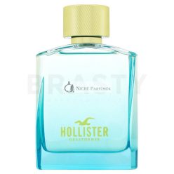 Hollister Wave 2 For Him Eau de Toilette for Men 100 ml