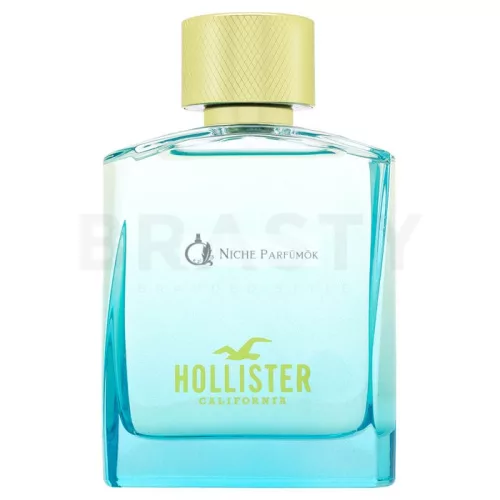 Hollister Wave 2 For Him Eau de Toilette for Men 100 ml