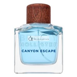 Hollister Canyon Escape Eau de Toilette for Men 100 ml