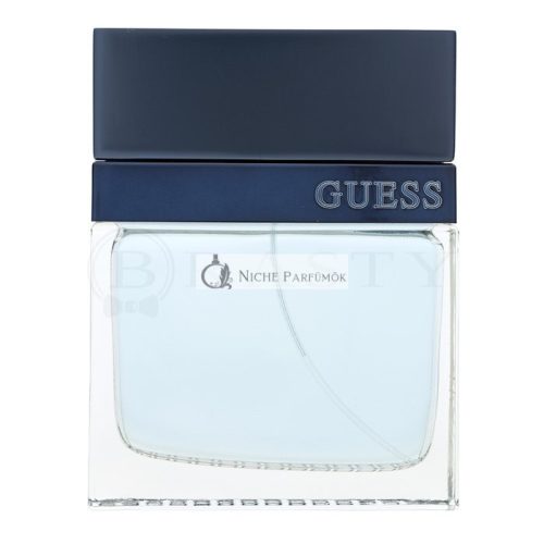Guess Seductive Homme Blue Eau de Toilette for Men 100 ml