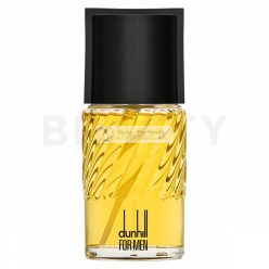 Dunhill Dunhill for Men Eau de Toilette for Men 100 ml