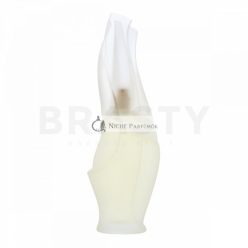 DKNY Cashmere Mist Eau de Toilette for Women 100 ml