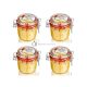 Bio Citrus Body Scrub Natural Exfoliant for Nourishing Skin 250ml - Pack of 4