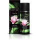 Ryor Night Serum with Snow Algae