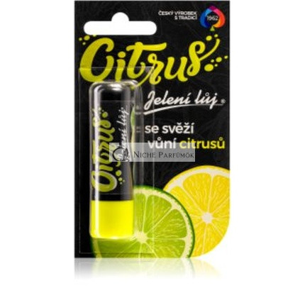 Regina Citrus Lip Balm 4 G - Nourishing And Refreshing Lip Care